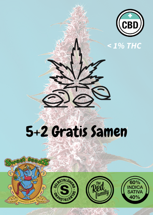 Red Pure CBD - Auto - Samen & Jungpflanzen 🌱Mr. Bud Store