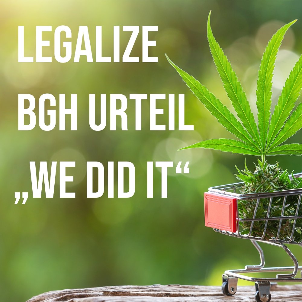 BGH-Urteil: Rauschfreie "CBD Blüten" dürfen verkauft werden! Nutzhanf-Ausnahme gilt für die gewerbliche Abgabe an Endverbraucher - Mr. Bud Store