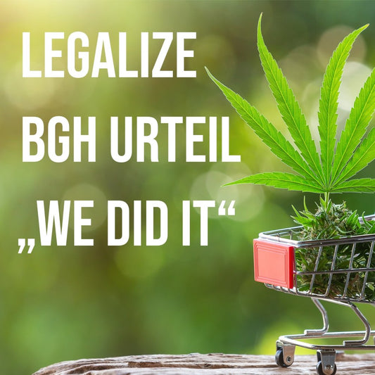 BGH-Urteil: Rauschfreie "CBD Blüten" dürfen verkauft werden! Nutzhanf-Ausnahme gilt für die gewerbliche Abgabe an Endverbraucher - Mr. Bud Store