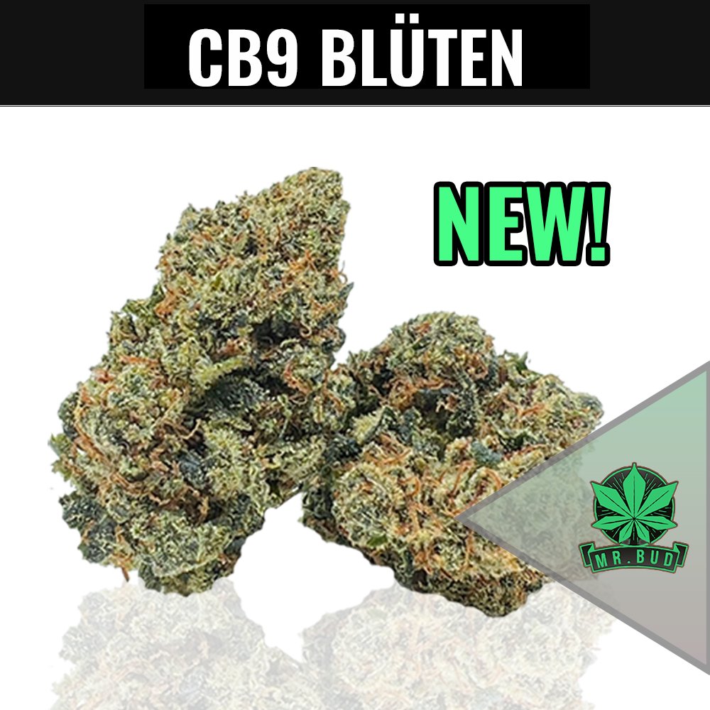 CB9 Blüten - Neu! Alternativ zu HHC - Mr. Bud Store