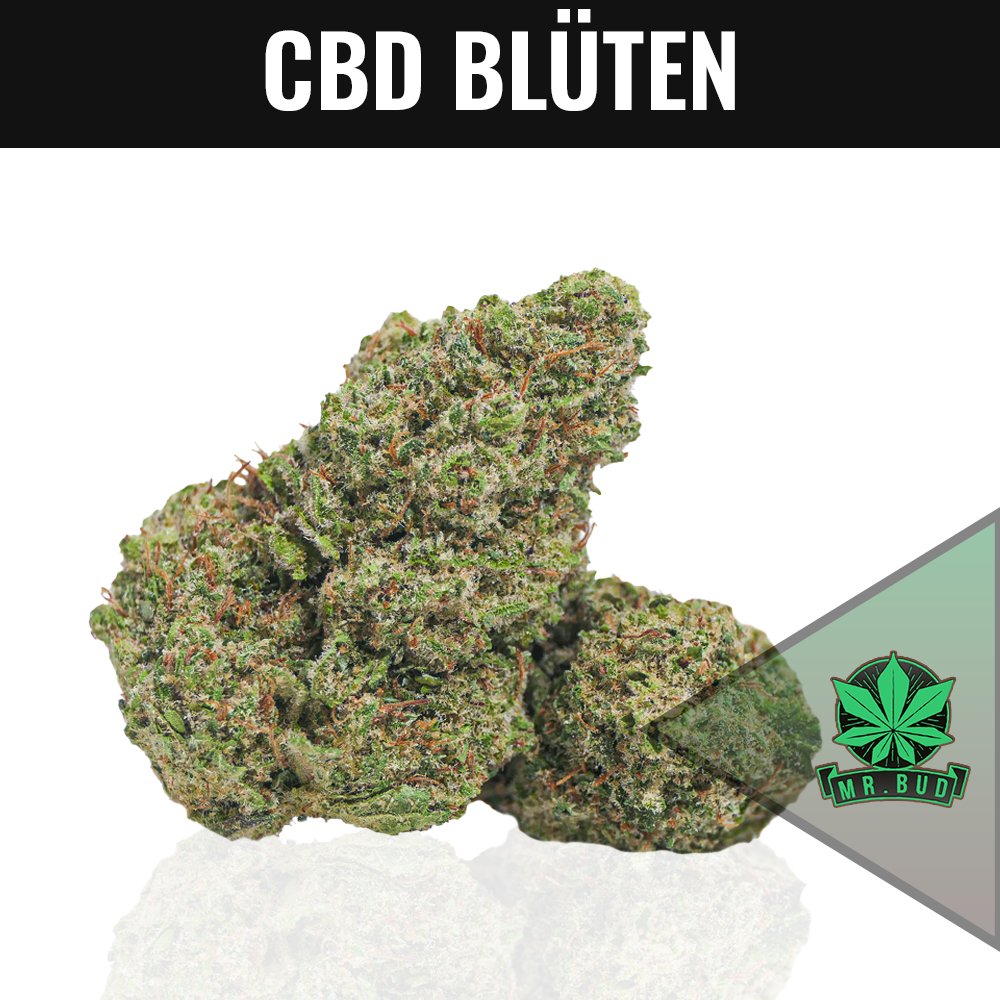CBD & CBG Blüten - Mr. Bud Store