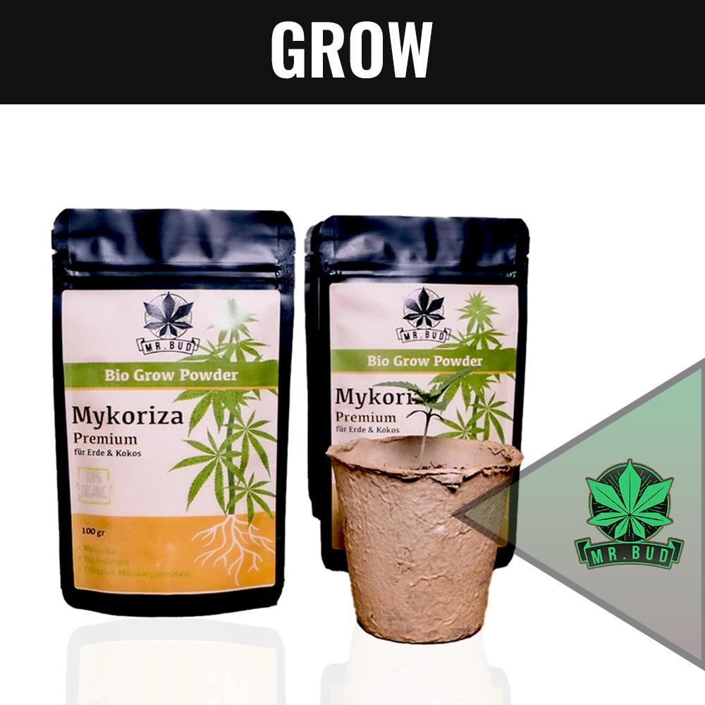 Growbedarf - Mr. Bud Store