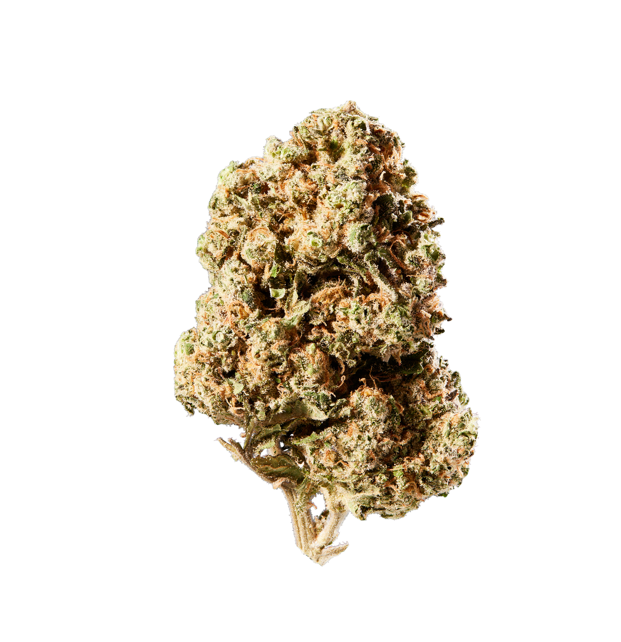 HHC Blüten 48 % Runaway - sativa