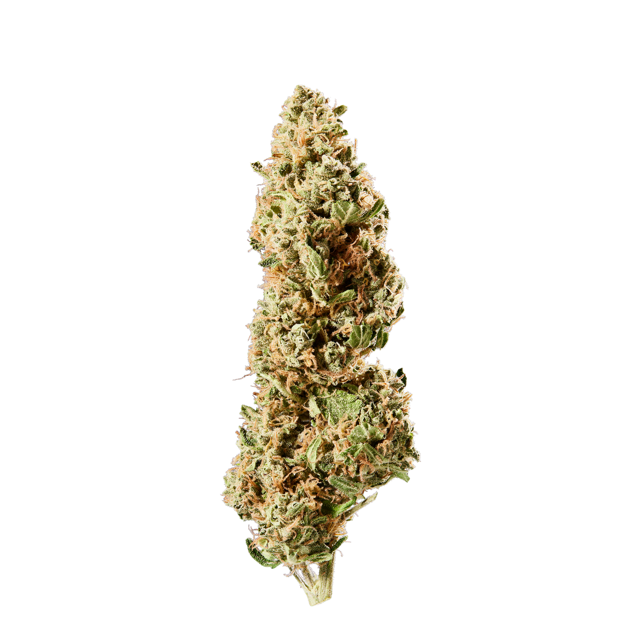 HHC Blüten 46 % Lost in Space - indica
