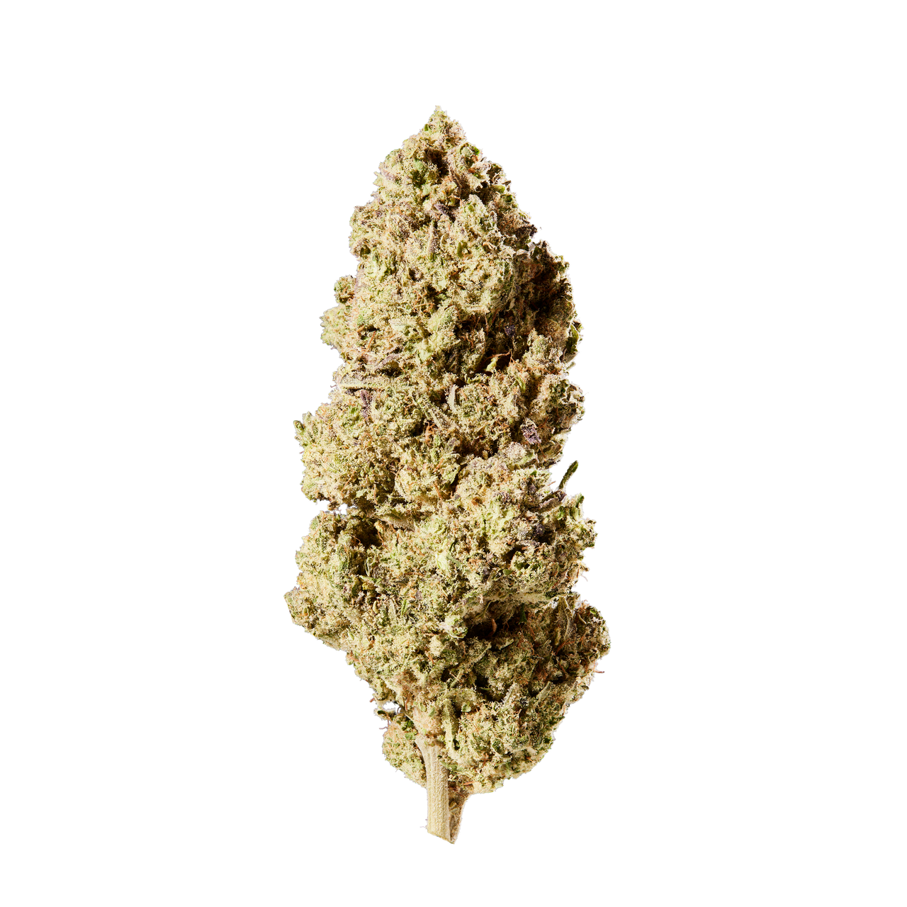 HHC Blüten 51 % Mars Attack