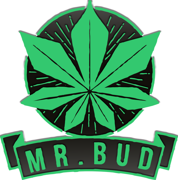 Mr. Bud Store
