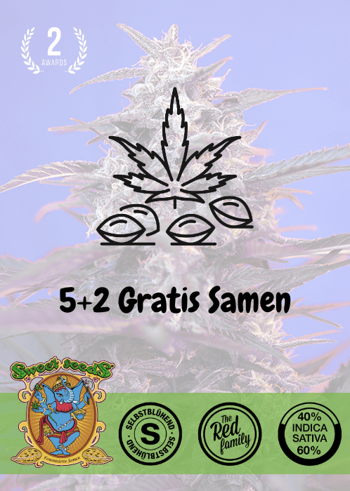 Bloody Skunk - Auto - Samen & Jungpflanzen 🌱Mr. Bud Store