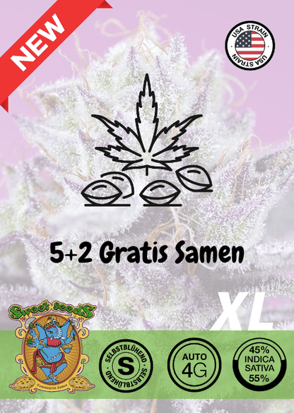 Diablo Delight XL - Auto - Samen & Jungpflanzen 🌱Mr. Bud Store