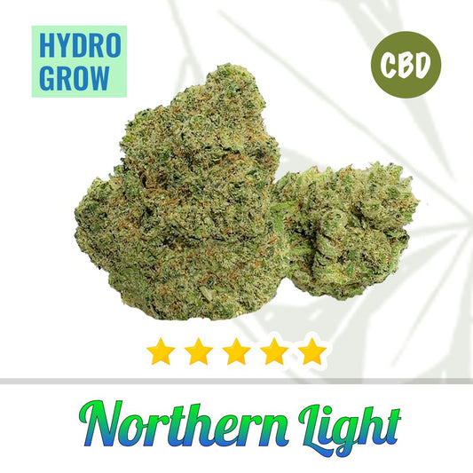 Northen Light CBDMr. Bud Store