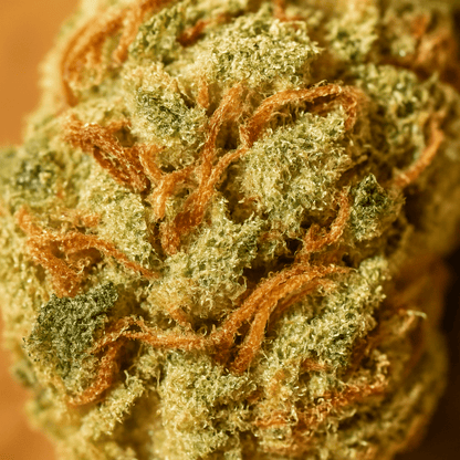 Super Lemon Haze - CBD BlütenMr. Bud Store