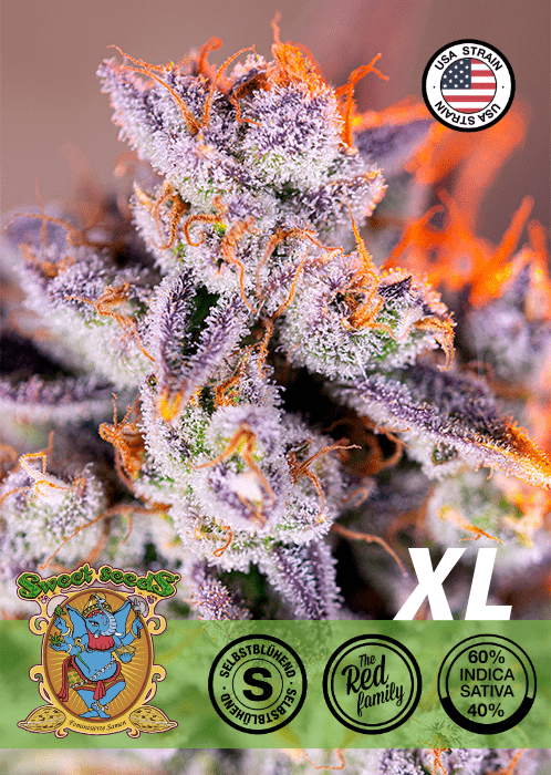 TROPICANA POISON XL - AUTO SEEDS 🌱Mr. Bud Store
