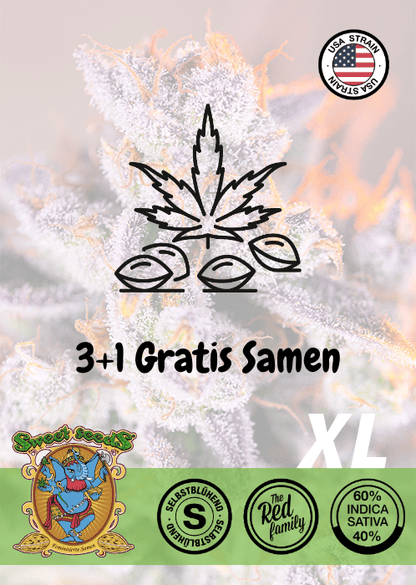 TROPICANA POISON XL - AUTO SEEDS 🌱Mr. Bud Store