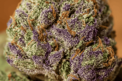 Wedding Cake - CBD BlütenMr. Bud Store