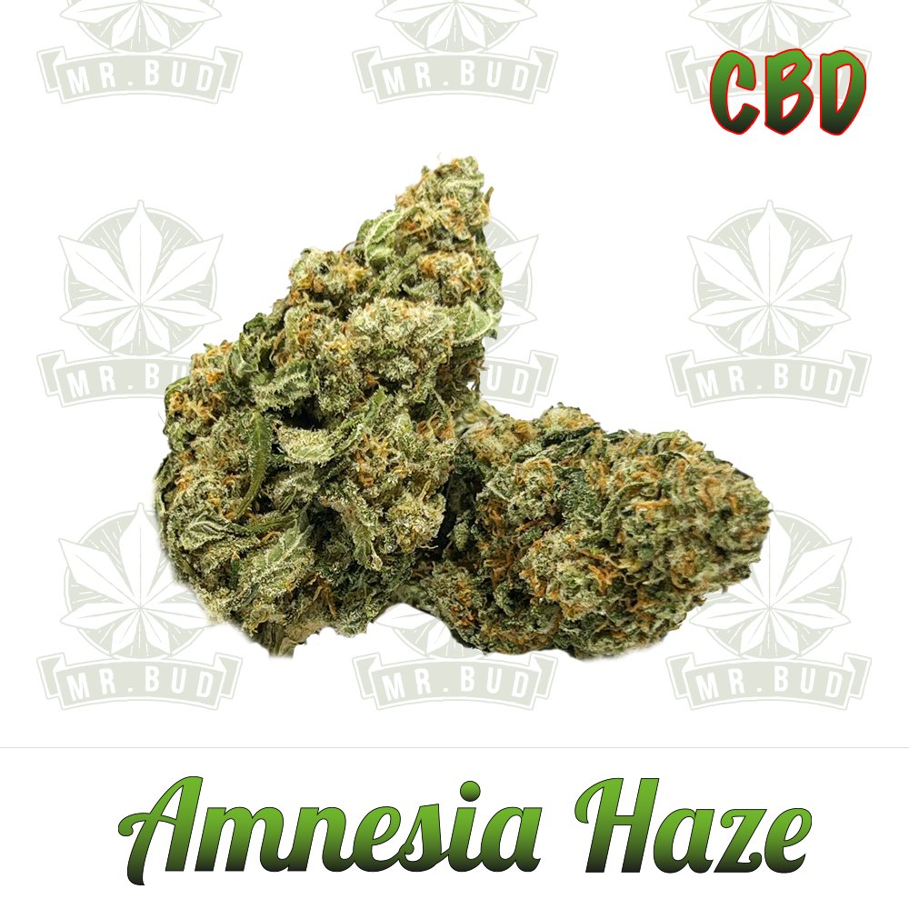 Amnesia Haze | CBD Blüten - PremiumMr. Bud Store
