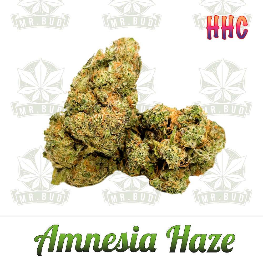 Amnesia Haze - HHC Blüten | 65 % HHC - Frische Ernte!Mr. Bud Store