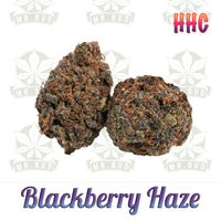 Thumbnail for Blackberry Haze - HHC Blüten | 50 % HHC - Frische Ernte!Mr. Bud Store