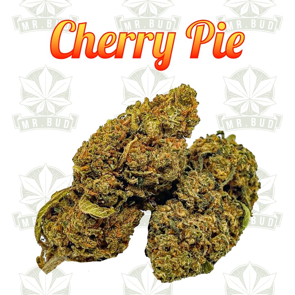 Cherry Pie | CBD BlütenMr. Bud Store
