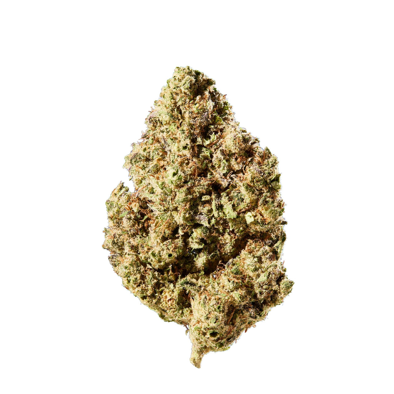 HHC Blüten Surf'n Turf - sativa 50 %Mr. Bud Store