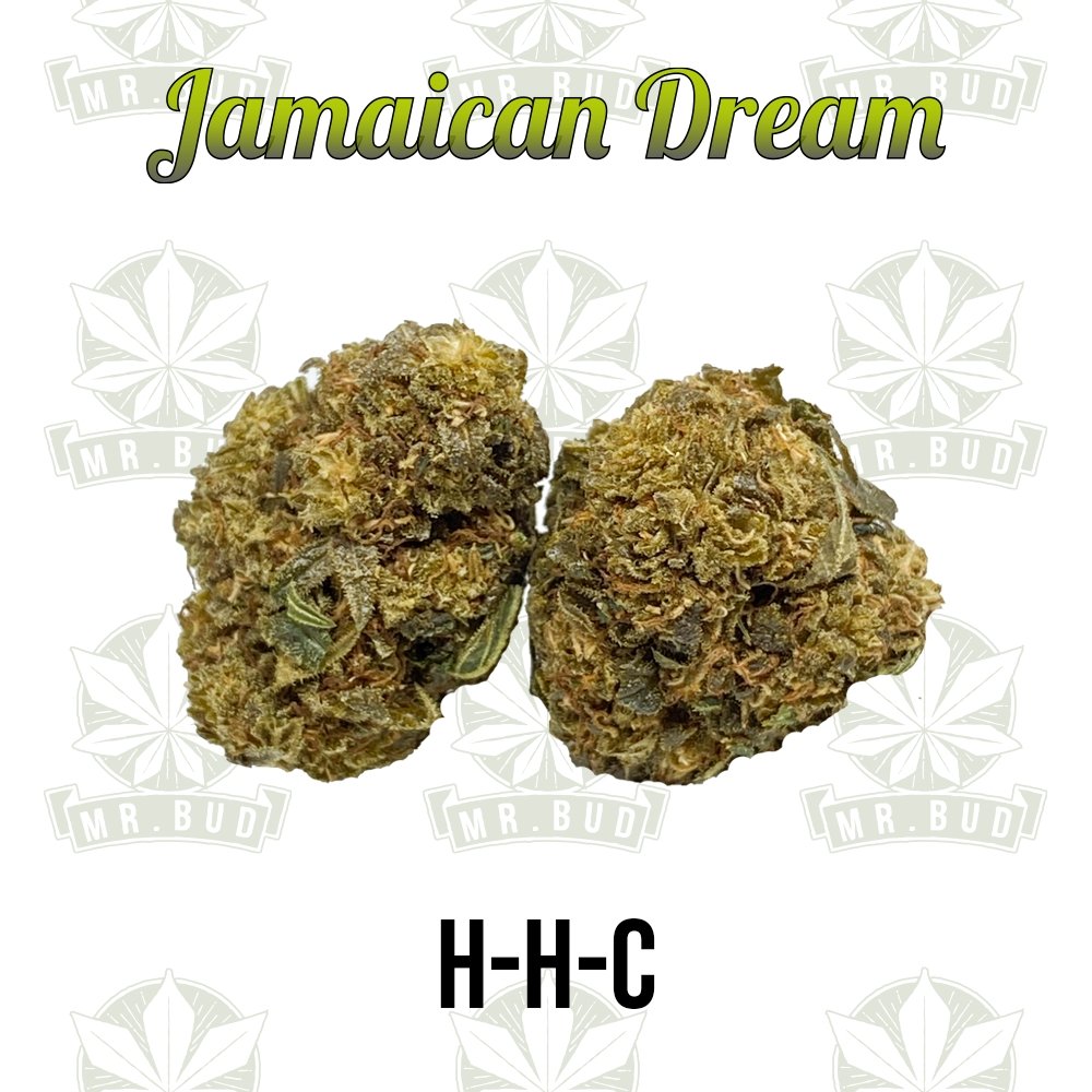 Jamaican Dream - HHC Blüten | 40 % HHCMr. Bud Store