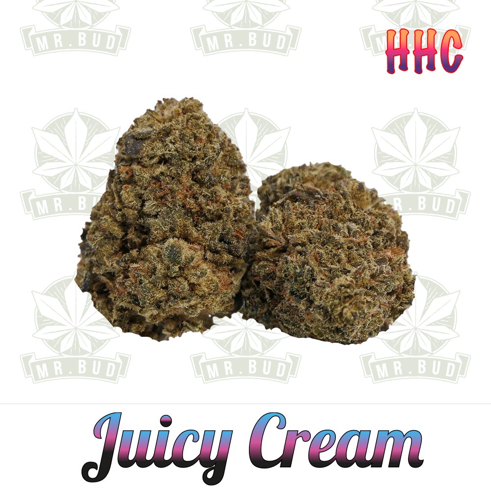 Juicy Cream - HHC Blüten | 50 % HHC - Frische Ernte!Mr. Bud Store