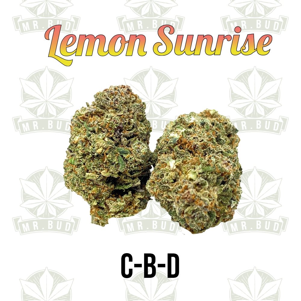 Lemon Sunrise | CBD Blüten - PremiumMr. Bud Store