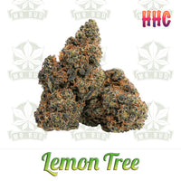 Thumbnail for Lemon Tree - HHC Blüten | 50 % HHC - PremiumMr. Bud Store