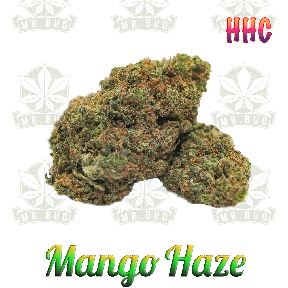 Mango Haze - HHC Blüten | 60 % HHC - Frische Ernte!Mr. Bud Store