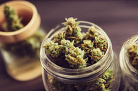 Thumbnail for Medizinisches Cannabis | Beratungsgespräch Video ChatMr. Bud Store