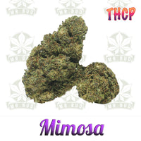 Thumbnail for Mimosa - THCP Blüten | 5 % THCP - Frische Ernte!Mr. Bud Store