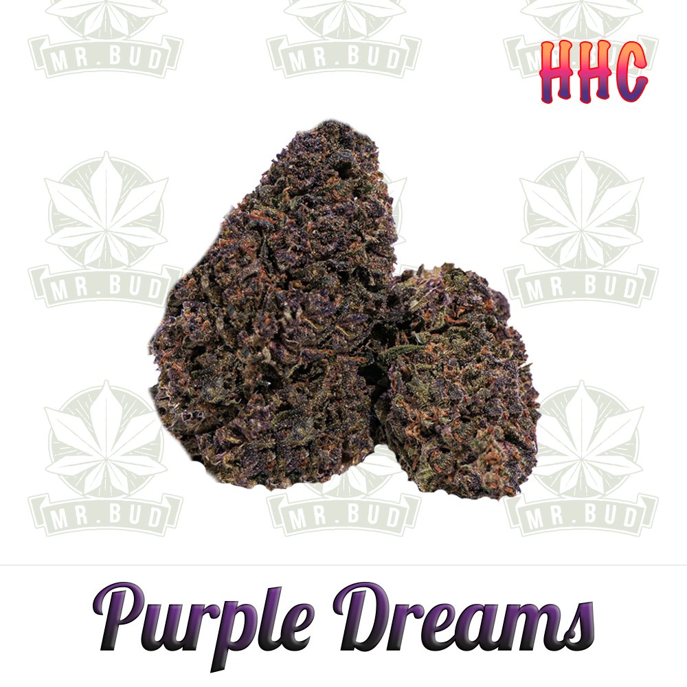Purple Dreams - HHC Blüten | 50 % HHC - Frische Ernte!Mr. Bud Store