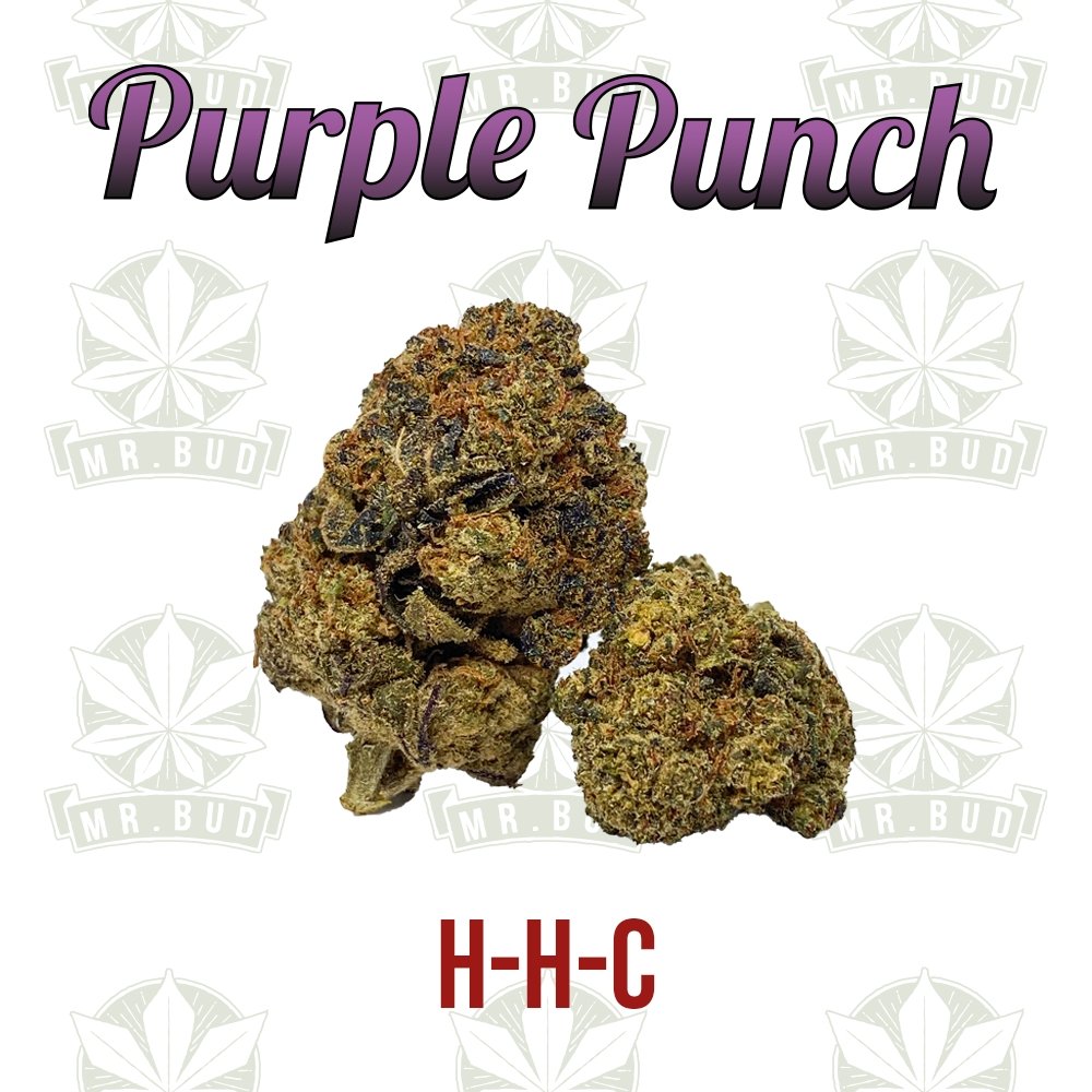 Purple Punch - HHC Blüten - 1gr. | 37 % HHCMr. Bud Store