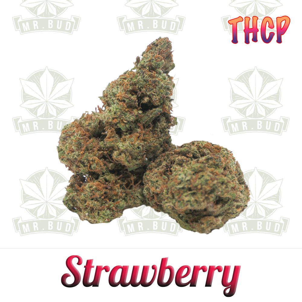 Strawberry - THCP Blüten | 5 % THCP - Frische Ernte!Mr. Bud Store
