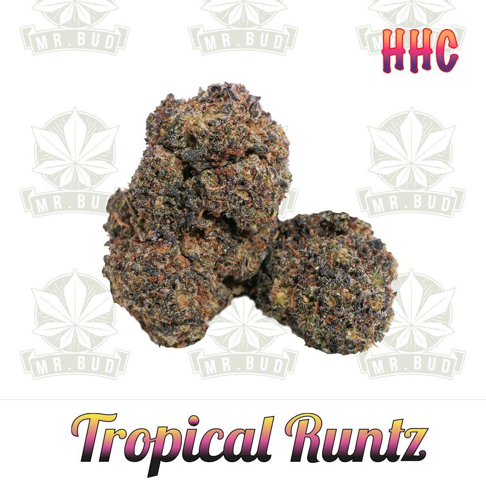 Tropical Runtz - HHC Blüten | 50 % - Frische Ernte!Mr. Bud Store
