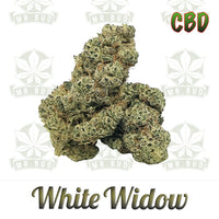 Thumbnail for White Widow | CBD Blüten - PremiumMr. Bud Store