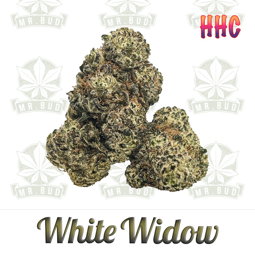 White Widow - HHC Blüten | 50 % HHC - Frische Ernte!Mr. Bud Store